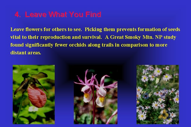 4. Leave What You Find Leave flowers for others to see. Picking them prevents
