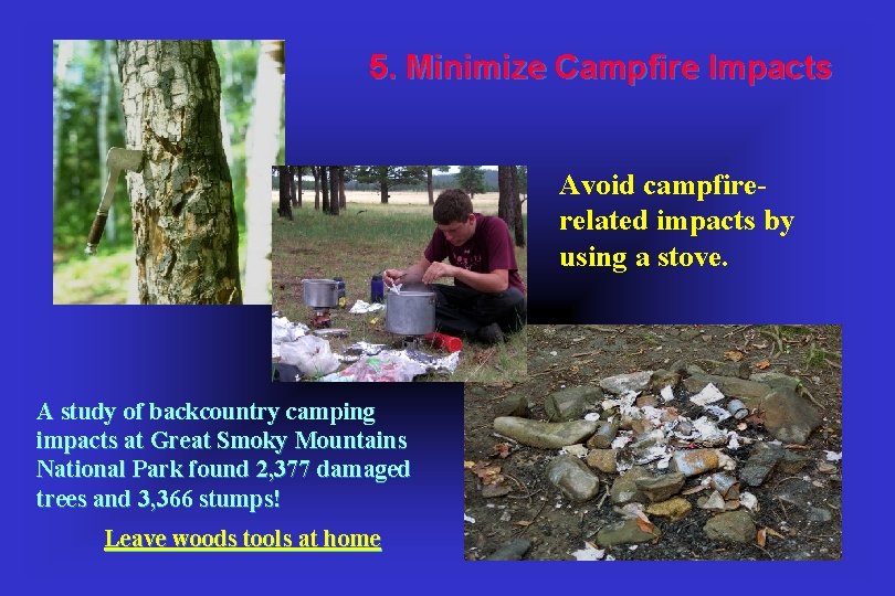 5. Minimize Campfire Impacts Avoid campfirerelated impacts by using a stove. A study of