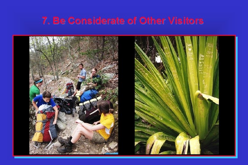 7. Be Considerate of Other Visitors 