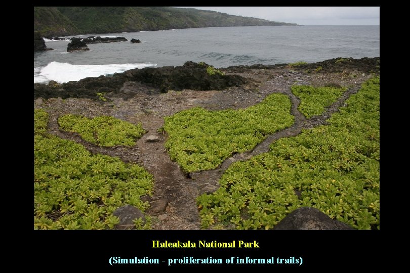 Haleakala National Park (Simulation - proliferation of informal trails) 