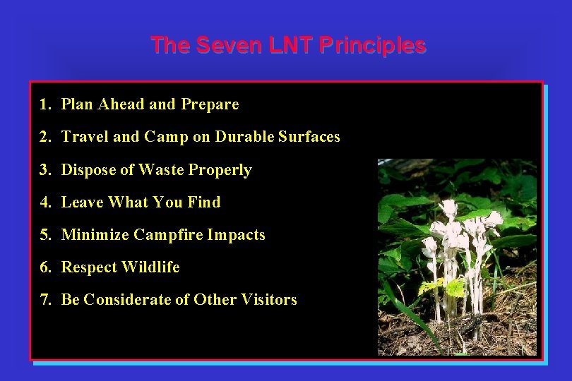 The Seven LNT Principles 1. Plan Ahead and Prepare 2. Travel and Camp on