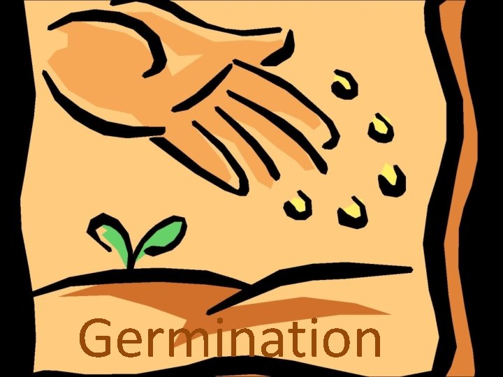 Germination 