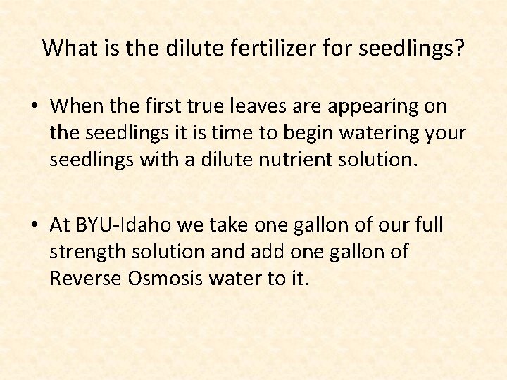 What is the dilute fertilizer for seedlings? • When the first true leaves are