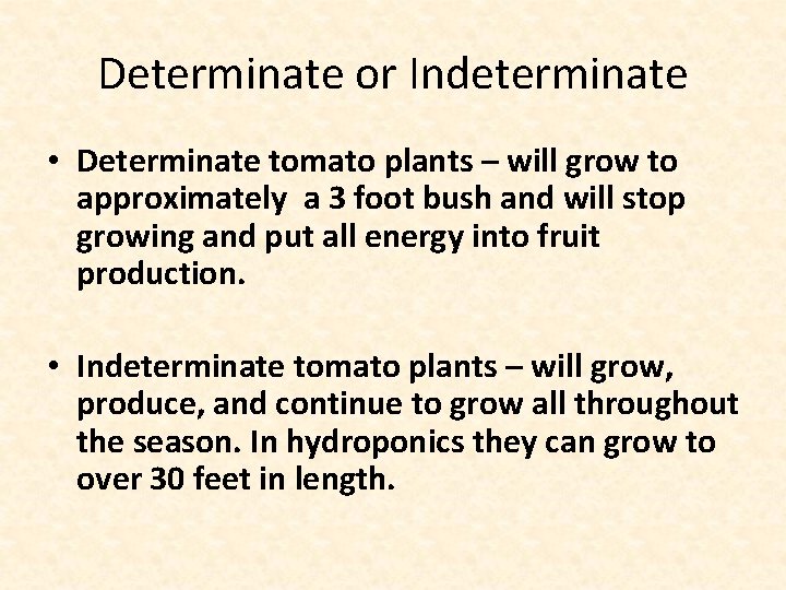 Determinate or Indeterminate • Determinate tomato plants – will grow to approximately a 3