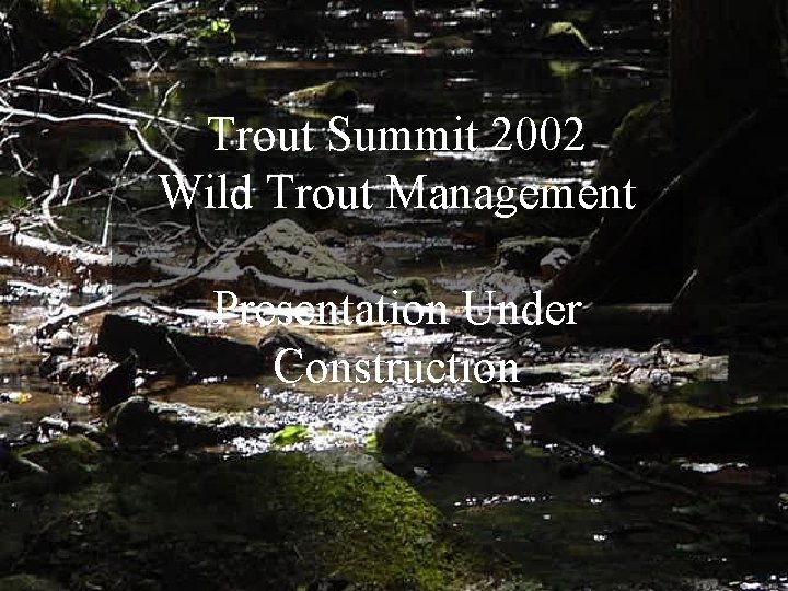 Trout Summit 2002 Wild Trout Management Blank Slide Under Presentation Construction 