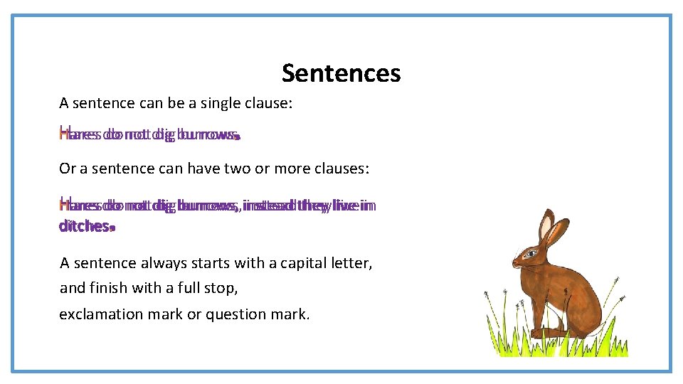 . Sentences A sentence can be a single clause: H ares do do not