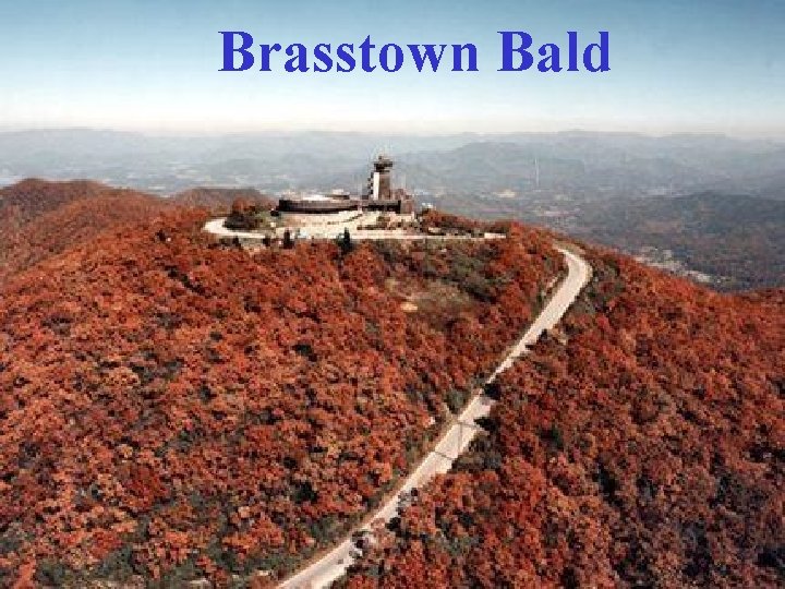 Brasstown Bald 