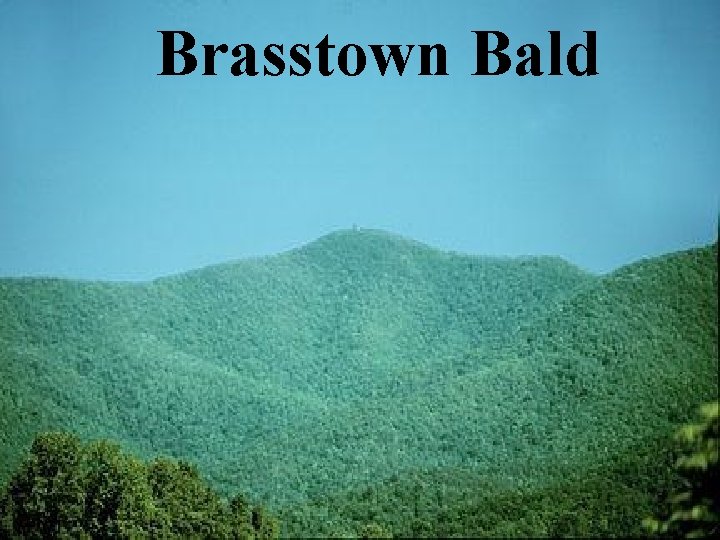 Brasstown Bald 