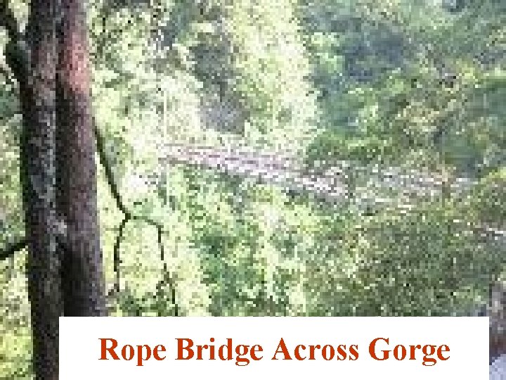 Rope Bridge Across Gorge 