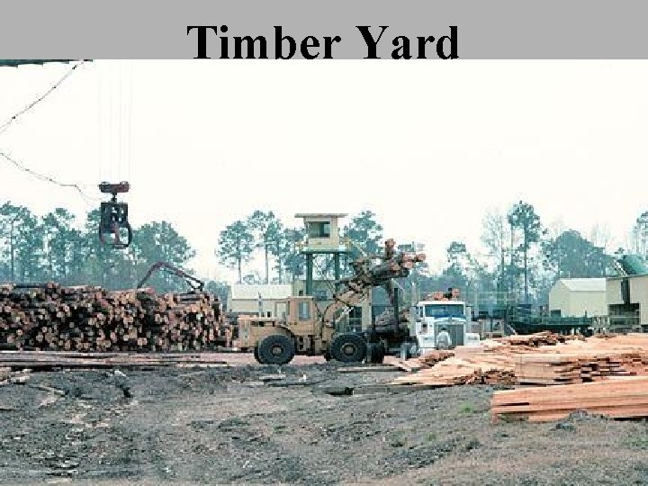 Timber Yard 