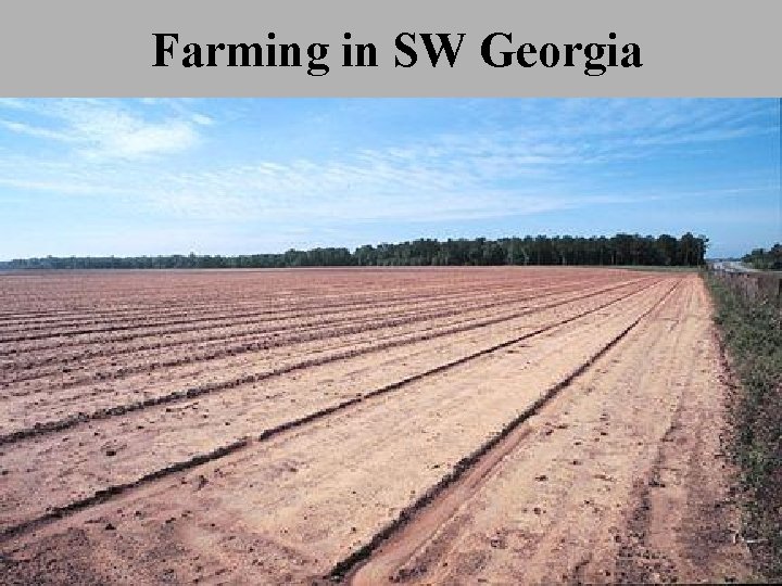 Farming in SW Georgia 