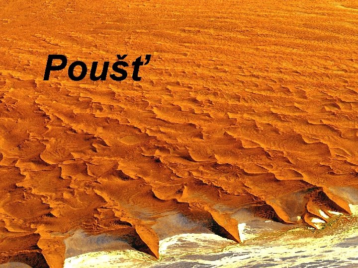 Poušť 