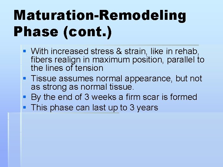 Maturation-Remodeling Phase (cont. ) § With increased stress & strain, like in rehab, fibers