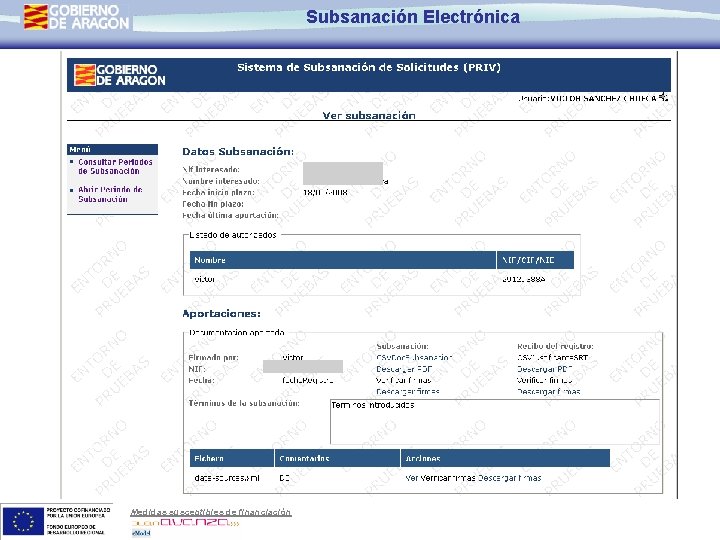 Subsanación Electrónica Medidas susceptibles de financiación 