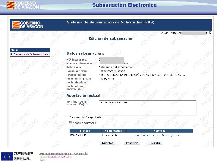 Subsanación Electrónica Medidas susceptibles de financiación 