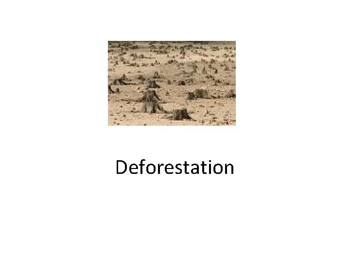 Deforestation 