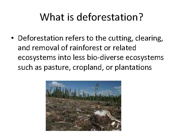 What is deforestation? • Deforestation refers to the cutting, clearing, and removal of rainforest