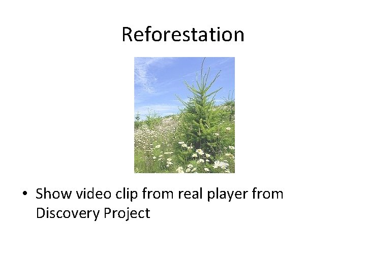 Reforestation • Show video clip from real player from Discovery Project 
