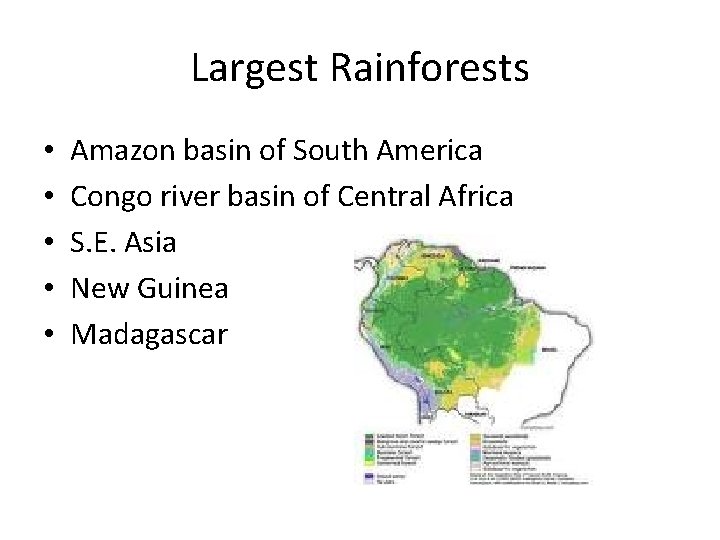 Largest Rainforests • • • Amazon basin of South America Congo river basin of