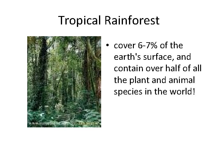 Tropical Rainforest • cover 6 -7% of the earth's surface, and contain over half