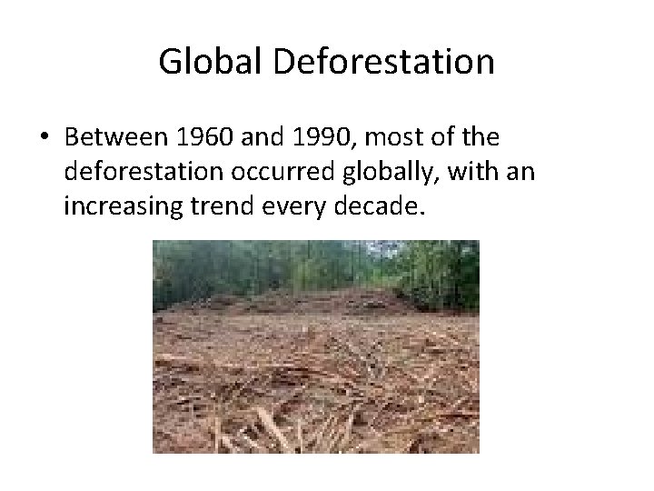 Global Deforestation • Between 1960 and 1990, most of the deforestation occurred globally, with