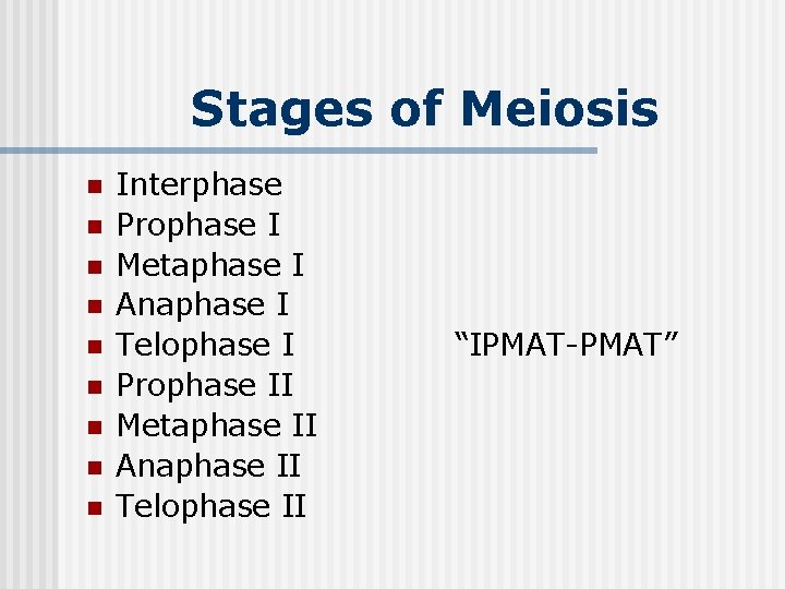 Stages of Meiosis n n n n n Interphase Prophase I Metaphase I Anaphase