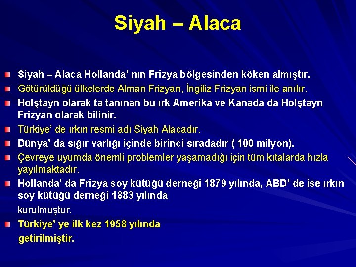 Siyah – Alaca Hollanda’ nın Frizya bölgesinden köken almıştır. Götürüldüğü ülkelerde Alman Frizyan, İngiliz