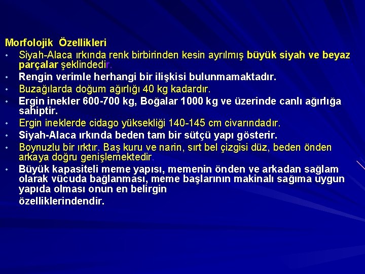 Morfolojik Özellikleri • Siyah-Alaca ırkında renk birbirinden kesin ayrılmış büyük siyah ve beyaz parçalar