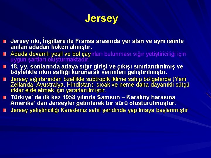 Jersey ırkı, İngiltere ile Fransa arasında yer alan ve aynı isimle anılan adadan köken