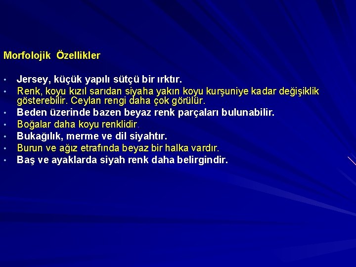 Morfolojik Özellikler • • Jersey, küçük yapılı sütçü bir ırktır. Renk, koyu kızıl sarıdan