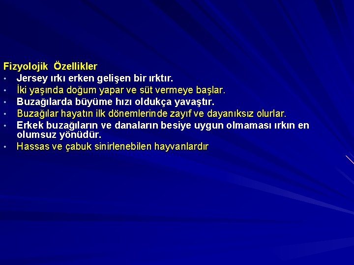 Fizyolojik Özellikler • Jersey ırkı erken gelişen bir ırktır. • İki yaşında doğum yapar