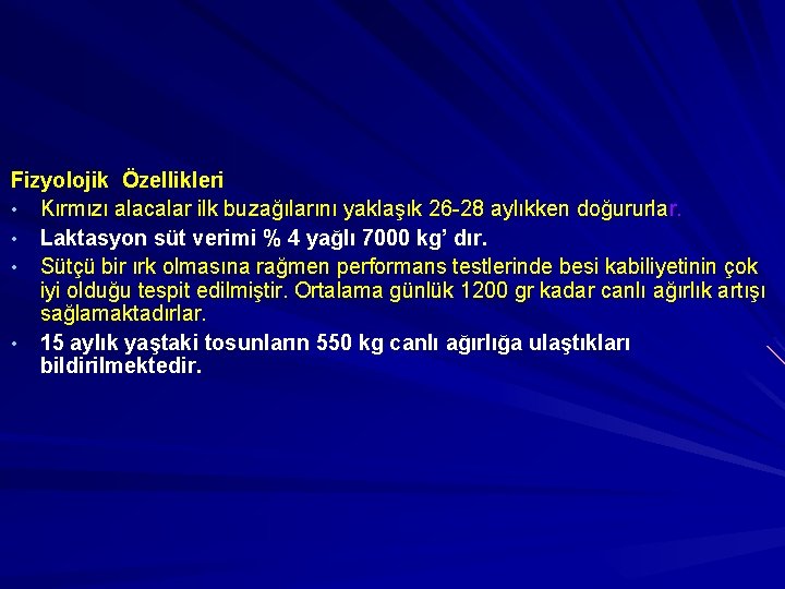 Fizyolojik Özellikleri • Kırmızı alacalar ilk buzağılarını yaklaşık 26 -28 aylıkken doğururlar. • Laktasyon