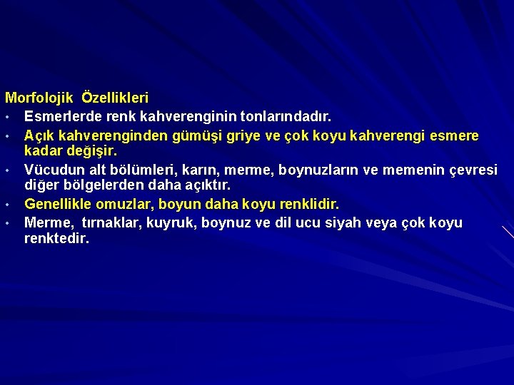 Morfolojik Özellikleri • Esmerlerde renk kahverenginin tonlarındadır. • Açık kahverenginden gümüşi griye ve çok