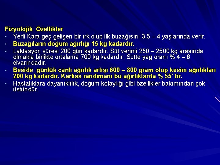 Fizyolojik Özellikler • Yerli Kara geç gelişen bir ırk olup ilk buzağısını 3. 5