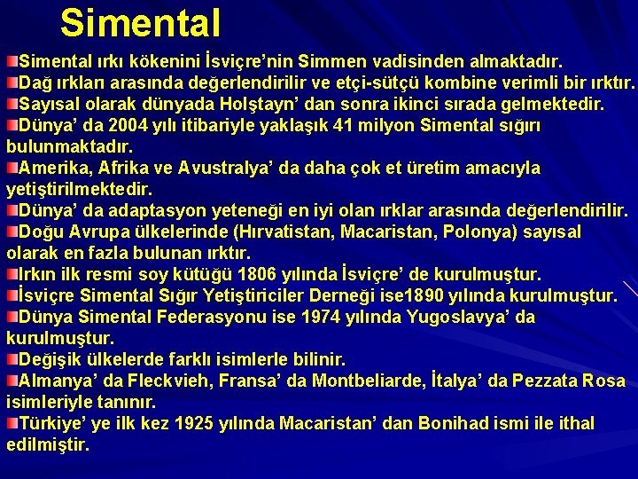 Simental ırkı kökenini İsviçre’nin Simmen vadisinden almaktadır. Dağ ırkları arasında değerlendirilir ve etçi-sütçü kombine