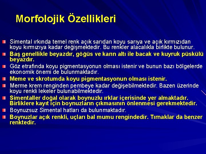 Morfolojik Özellikleri Simental ırkında temel renk açık sarıdan koyu sarıya ve açık kırmızıdan koyu