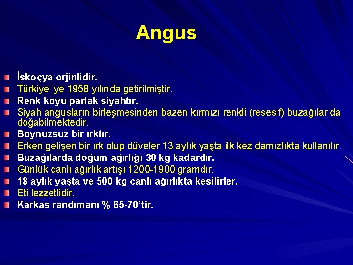 Angus İskoçya orjinlidir. Türkiye’ ye 1958 yılında getirilmiştir. Renk koyu parlak siyahtır. Siyah angusların