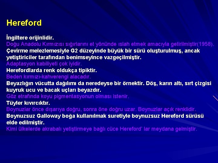 Hereford İngiltere orijinlidir. Doğu Anadolu Kırmızısı sığırlarını et yönünde ıslah etmek amacıyla getirilmiştir(1958). Çevirme