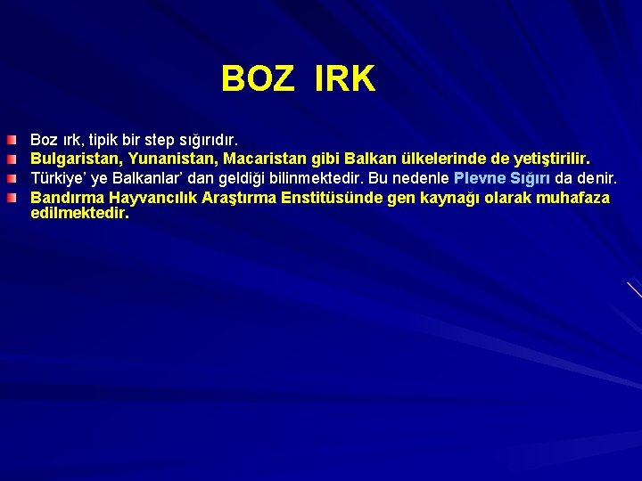 BOZ IRK Boz ırk, tipik bir step sığırıdır. Bulgaristan, Yunanistan, Macaristan gibi Balkan ülkelerinde