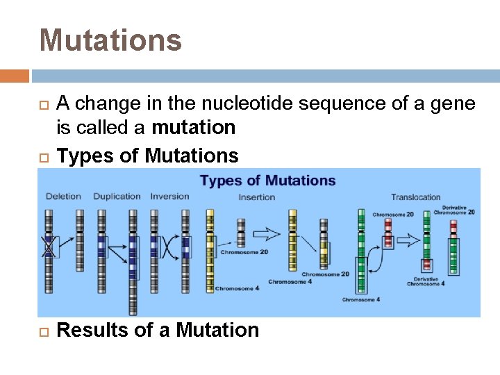 Mutations A change in the nucleotide sequence of a gene is called a mutation