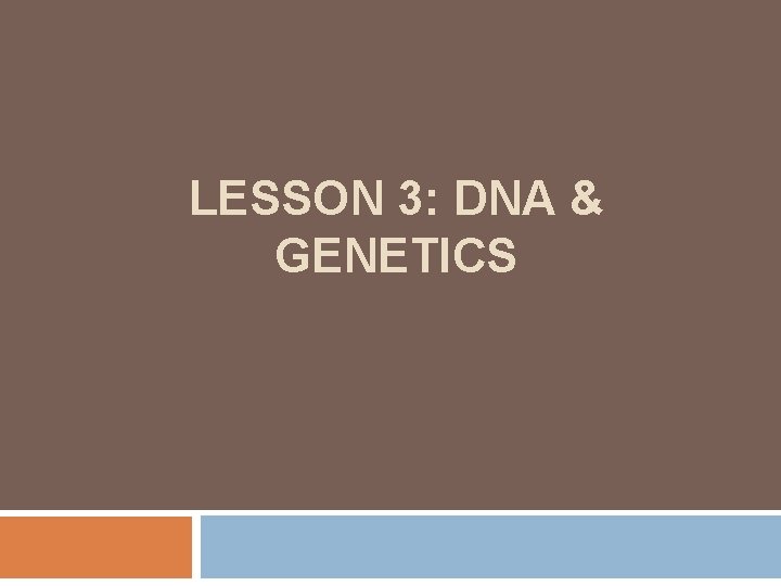LESSON 3: DNA & GENETICS 