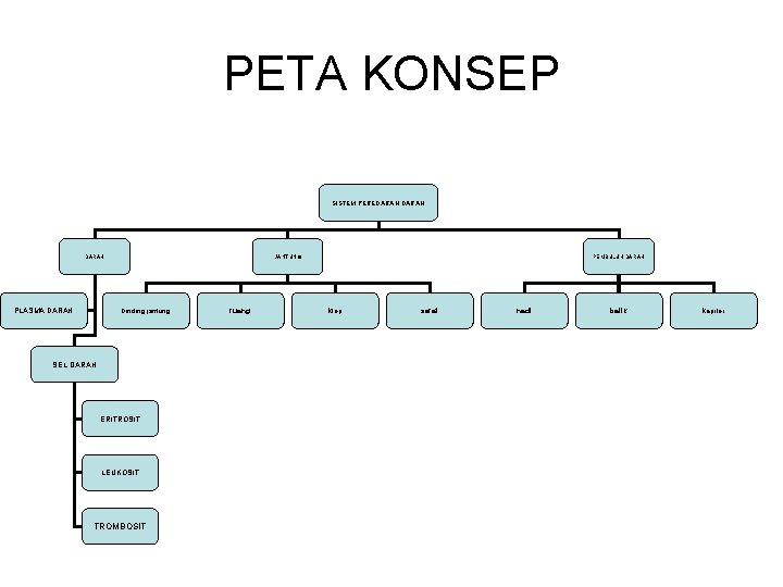 PETA KONSEP SISTEM PEREDARAN DARAH PLASMA DARAH JANTUNG Dinding jantung SEL DARAH ERITROSIT LEUKOSIT