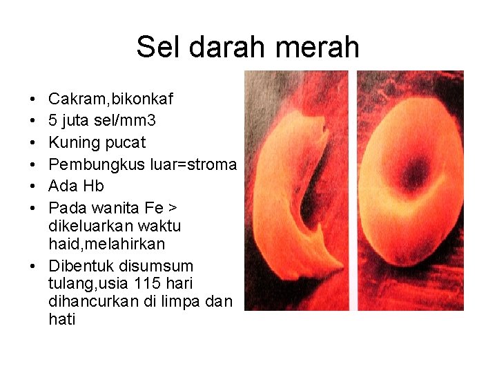 Sel darah merah • • • Cakram, bikonkaf 5 juta sel/mm 3 Kuning pucat