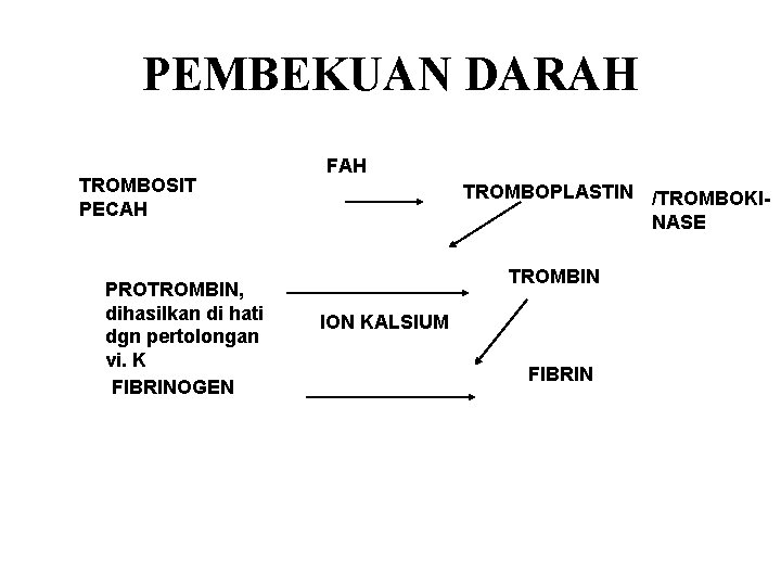 PEMBEKUAN DARAH TROMBOSIT PECAH PROTROMBIN, dihasilkan di hati dgn pertolongan vi. K FIBRINOGEN FAH