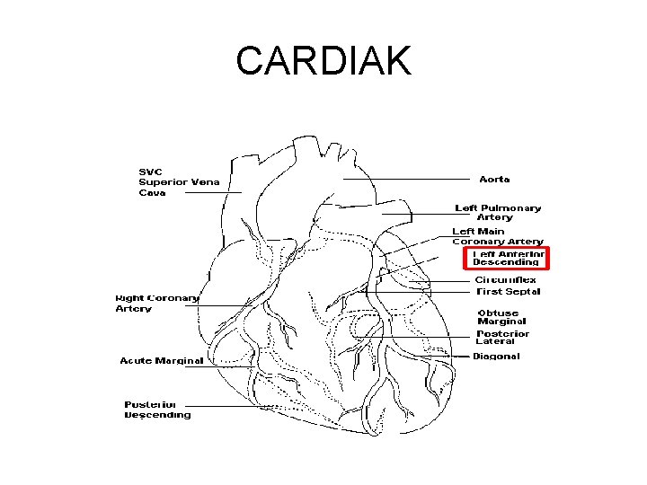 CARDIAK 