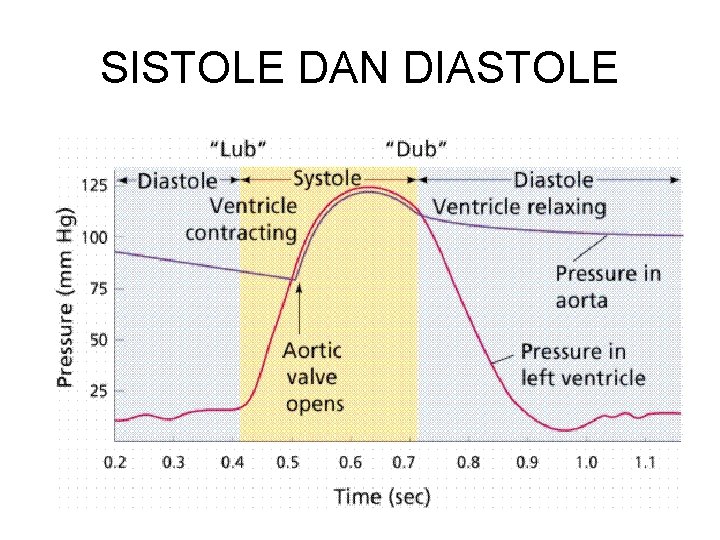 SISTOLE DAN DIASTOLE 