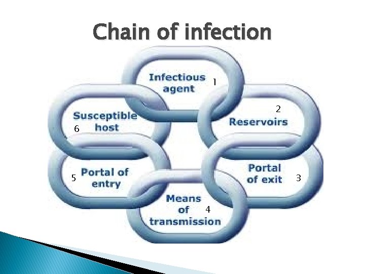 Chain of infection 1 2 6 5 3 4 