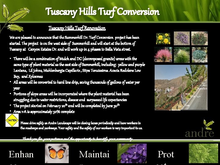 Tuscany Hills Turf Conversion Tuscany Hills Turf Renovation We are pleased to announce that