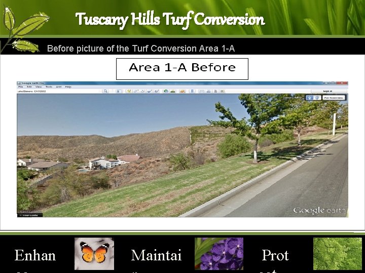 Tuscany Hills Turf Conversion Before picture of the Turf Conversion Area 1 -A Enhan