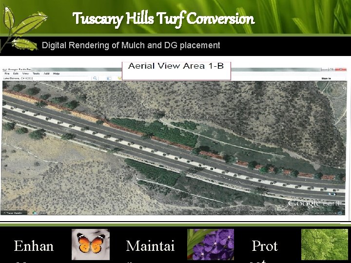Tuscany Hills Turf Conversion Digital Rendering of Mulch and DG placement Enhan Maintai Prot